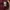 Kangol Long Sleeve Shirt photo 5