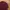Kangol Long Sleeve Shirt