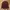 Kangol Long Sleeve Shirt photo 1