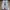 Adidas Casual Sneakers Pria multicolor white photo 5