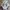 Adidas Casual Sneakers Pria multicolor white photo 2