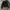 Guess Avant Garde Casual Harrington jacket Wanita black photo 1