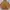 Corduroy Bomber Jacket – Sherpa Lining & Faux Fur Collar