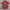 AC Milan Home Jersey Opel Era photo 10