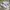 Adidas Casual Sneakers Wanita purple white photo 1