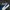 Puma Gorpcore Casual Sneakers Wanita white blue photo 5