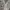 Cardigan knit rajut ingni kepang gembul bunga photo 3