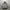 Adidas Vintage Streetwear Hoody Pria black photo 4