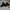 Timberland Premium 6 inch lace in black photo 5