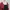 Cardigan Crop Bolero Outer Rajut Maroon Premium  photo 6