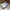 Adidas Casual Sneakers Wanita purple white photo 3