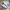 Adidas Casual Sneakers Pria gold white photo 1