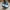 Adidas Casual Sneakers Pria white green photo 4
