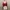 Vampy Sheer Tie-Front Crop Cardigan in Red Wine Red photo 1