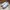 Adidas Casual Sneakers Wanita white gray photo 3