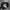 New Era New York Yankees Hat Camo photo 5