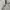 Carhartt Vintage Streetwear Hoody Pria silver photo 6