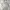 Carhartt Vintage Streetwear Hoody Pria Silver