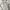 Carhartt Vintage Streetwear Hoody Pria silver photo 3