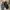 Sepatu loafers Dr. Martens peton bex photo 4