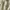 mididress yellow kotak cute photo 3