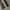 BLACK WAXED STACKED HYSTERIC GLAMOUR JEANS  photo 10