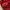 Grunge Avant Garde Bag Pria red black photo 3