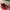 ARC'TERYX SOLANO RED WINDSTOPPER photo 9