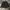 MATERIAL WORK JEEP LOGO STRIPED SECOND photo 1
