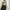 BCBG Max Azria Cami top Wanita pink cream photo 2