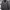 The North Face Gorpcore Puffer jacket Pria gray photo 1