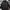 The North Face Gorpcore Puffer jacket Pria gray photo 3