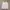 Babydoll White Tank Top Y2k Coquette 