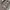Dolce & Gabbana Grunge Avant Garde Pria brown gray photo 4