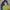 M LEMETED outdoor jaket second thrift original photo 6