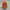 Nike ACG Gorpcore Casual Hat Pria orange photo 1
