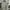 Polo Ralph Lauren Streetwear Casual T-shirt Pria White Gray
