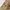 Japanese brand Vintage Streetwear Casual pants Pria brown photo 7