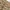 Japanese brand Vintage Streetwear Casual pants Pria brown photo 3