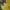 Nike Shirts | Neymar Jr Brazil 2021 Copa America Jersey | Co photo 10