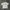 SAINT MICHAEL TSHIRT