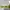 Marc Jacobs made in Italy sunglasses  photo 5