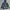 Japanese Brand Gorpcore Suit Pria Multicolor