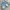 Y2K Avant Garde Mini skirt Wanita blue photo 1
