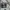 Vintage Parka Pria white photo 3