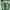 ouis Vuitton LV Trainer Low White Green size LV 6 US 7 photo 7