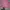 knit pink photo 1
