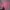 knit pink photo 3