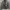 Jaket kulit/leather piel vintage photo 1