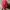 Vintage cherry street rope hat red photo 5
